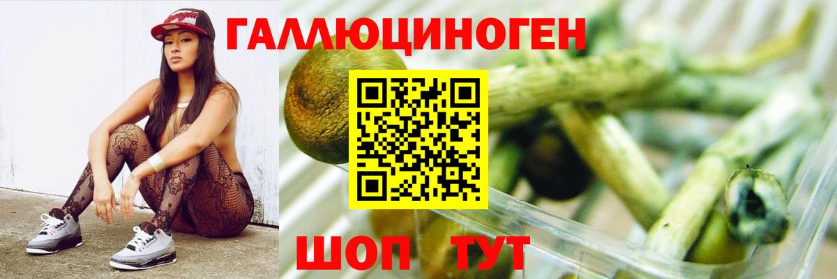 Псилоцибиновые грибы GOLDEN TEACHER  Вход с VPN  Галлюциногенные грибы Cubensis  Алушта 